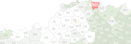Bracken County Map